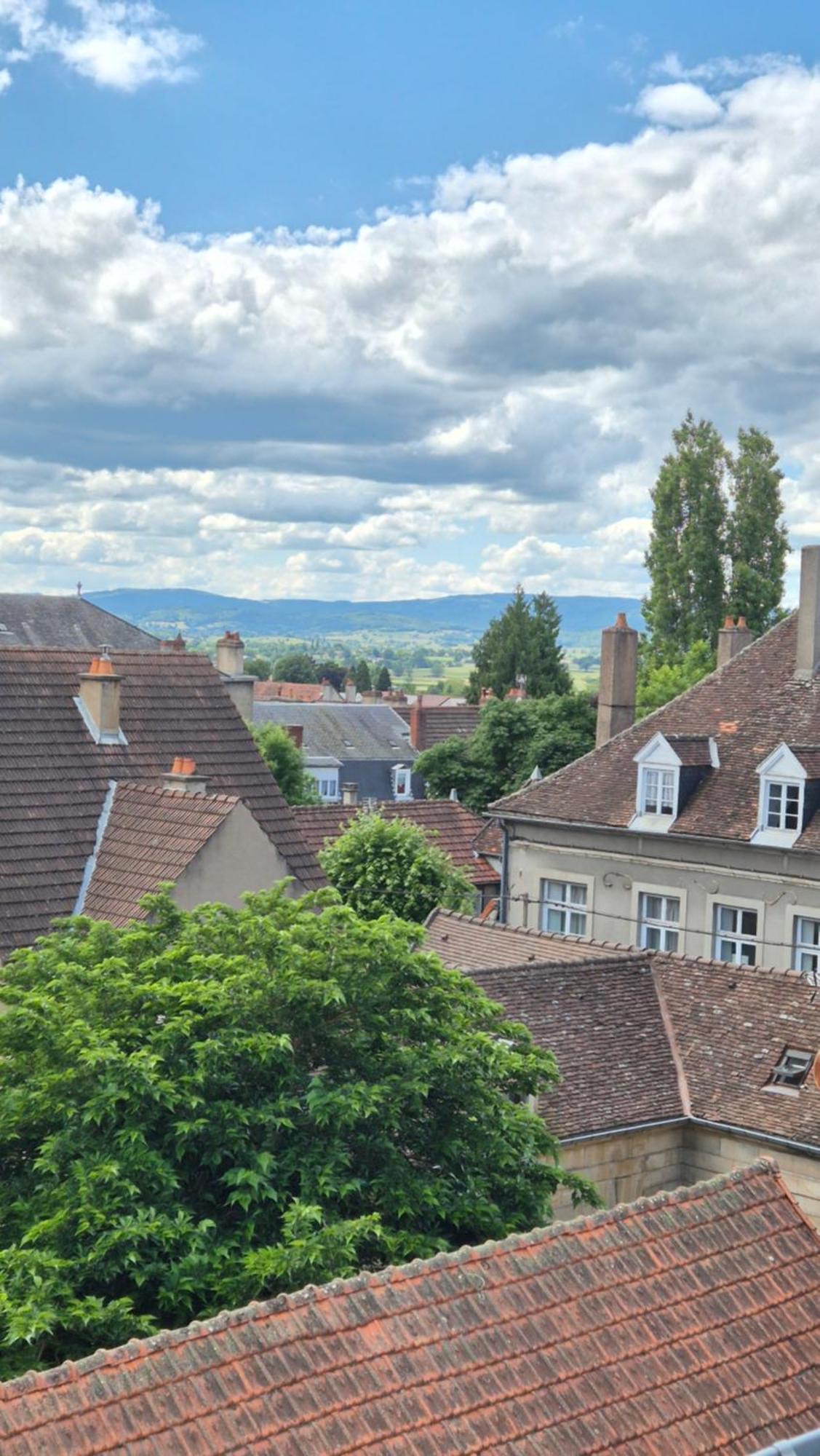 L'Arbre Voyageur Autun Exterior foto